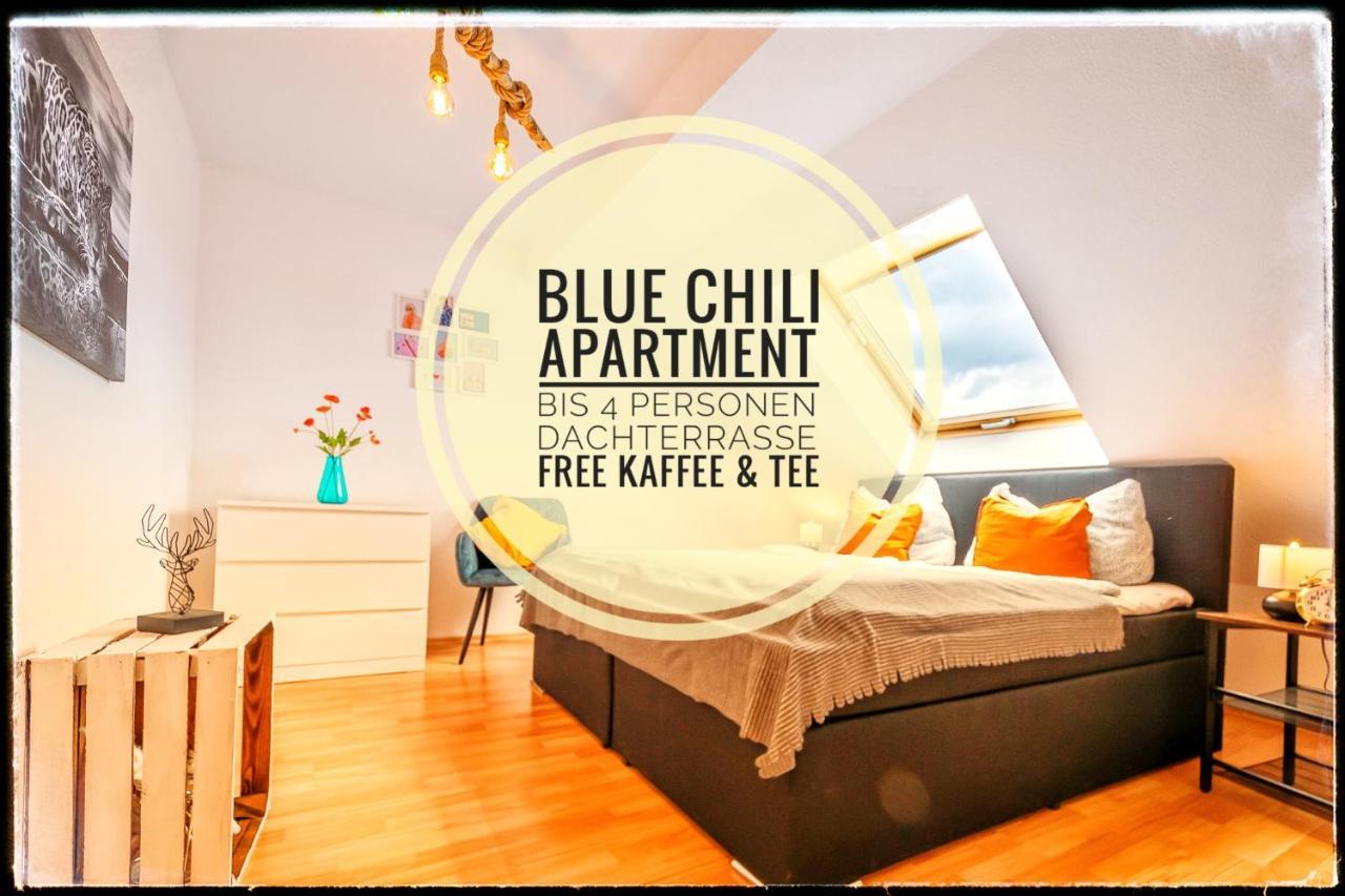 Blue Chili 19 Schoene Dachterasse Zentral Modern Bis 4 Pers ماغديبورغ المظهر الخارجي الصورة